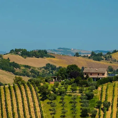 La Vigna Countrybnb * Montottone
